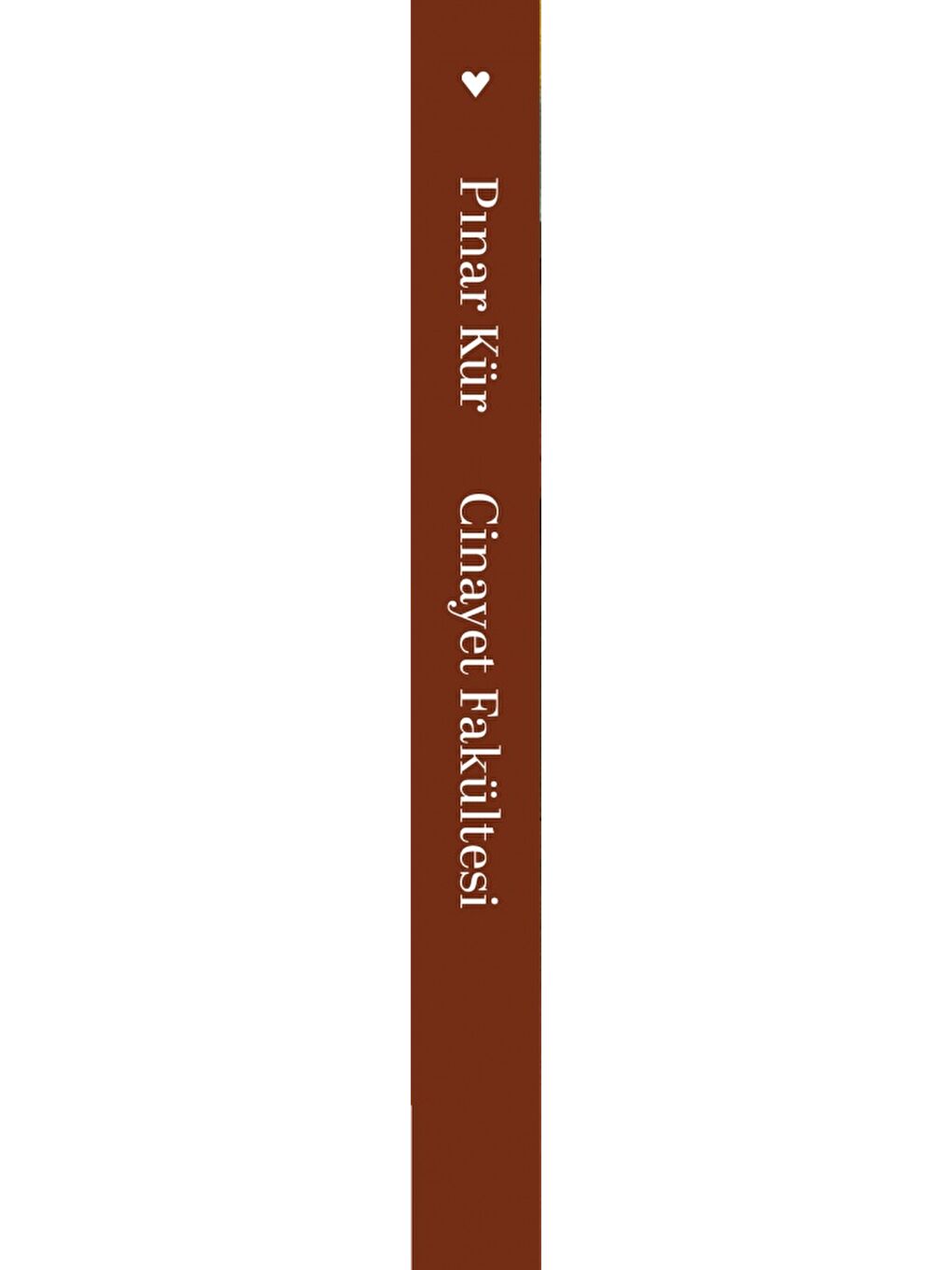 Cinayet Fakültesi-1