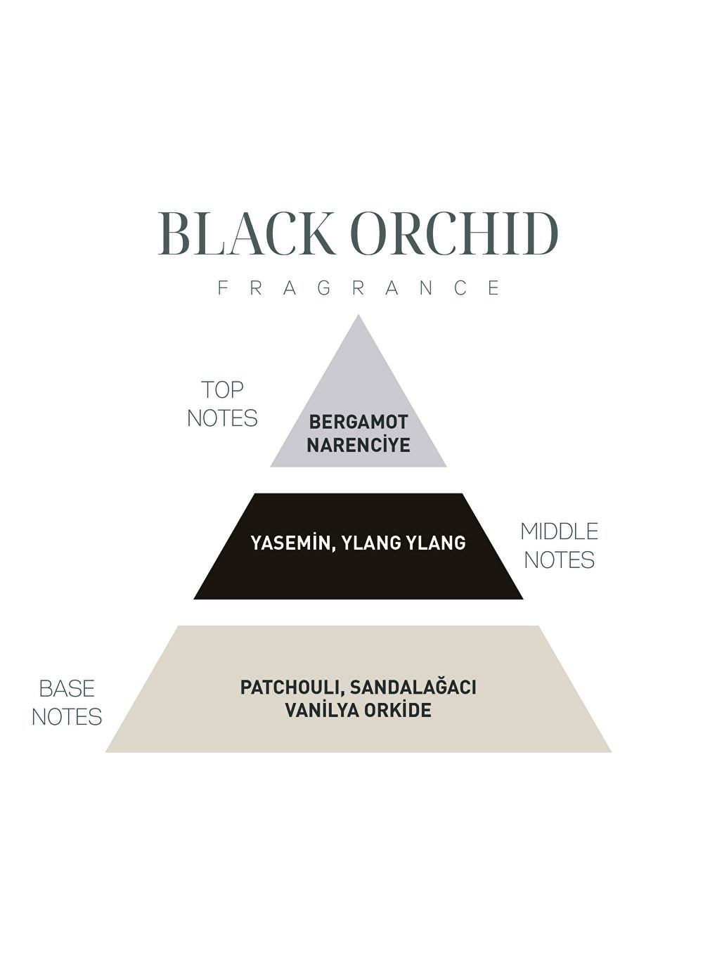 Gri Orkide Taşlı Black Orchid  Araba/Araç Kokusu (15 ml esans ile birlikte)-2