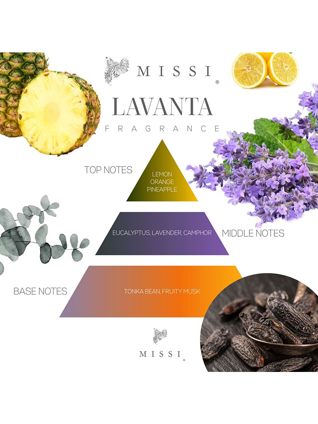 Ekru Botanical Lavander Kokulu Banyo Hediye Seti(Oda Spreyi,Kolonya,Banyo Tuzu)-1