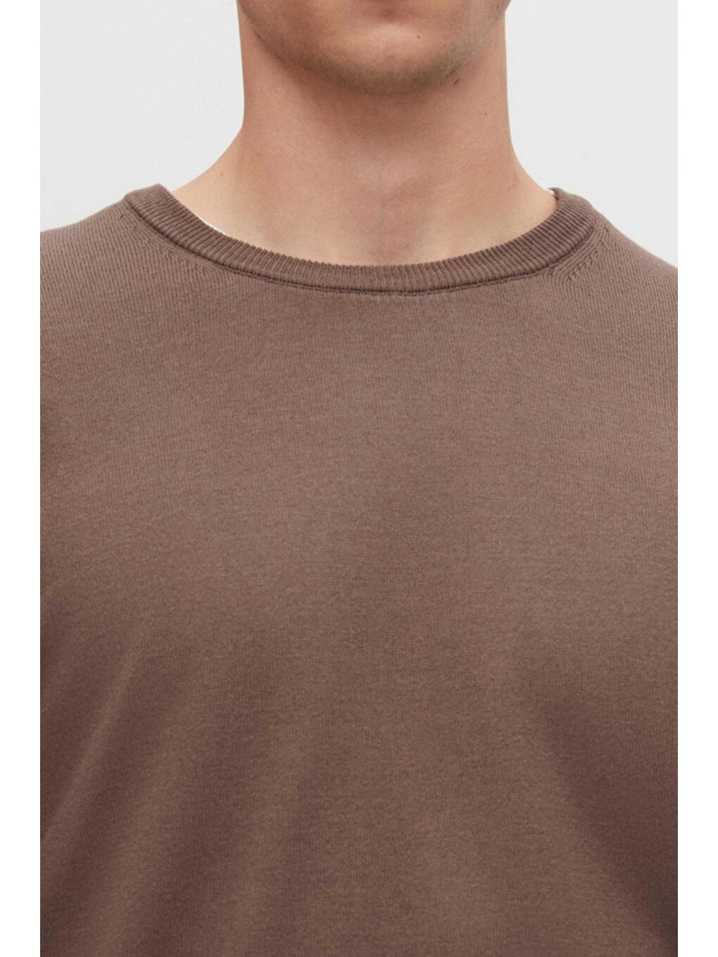 Bej Regular Fit Vizon Tüylenme Yapmayan Bisiklet Yaka Pamuklu Triko Kazak-2