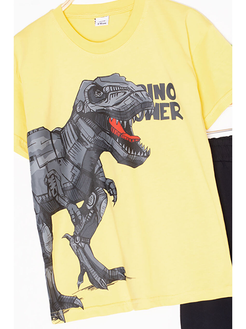 Sarı Dino Baskılı Yazılı Erkek Çocuk Şortlu Alt Üst Takım 20635-1