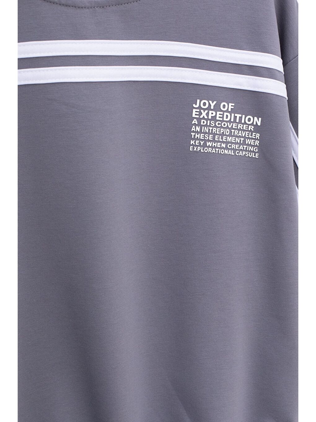 Gri Füme Şerit Detaylı Bisiklet Yaka Erkek Çocuk Basic Eşofman Takımı 21264-3