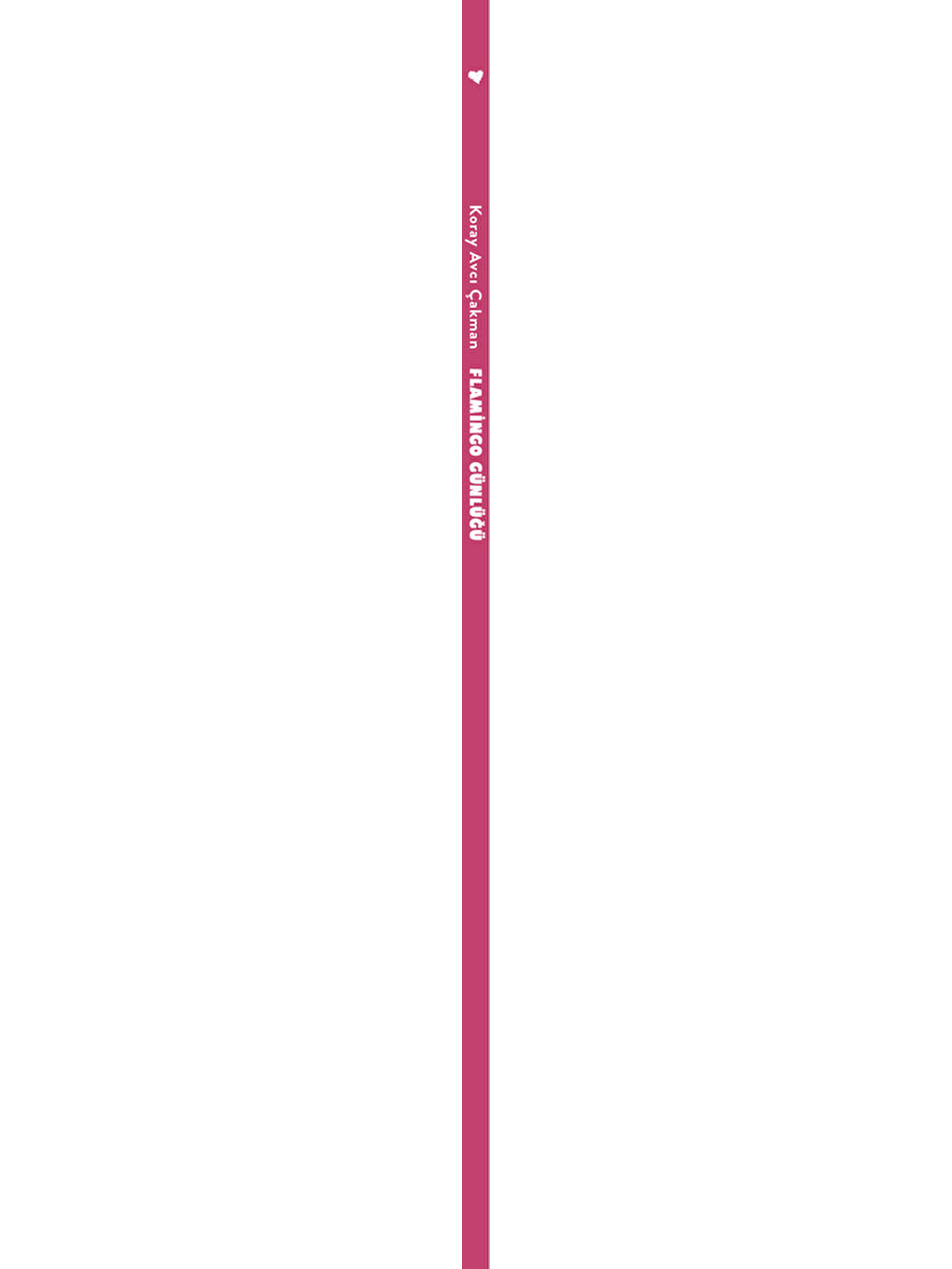 Flamingo Günlüğü-1