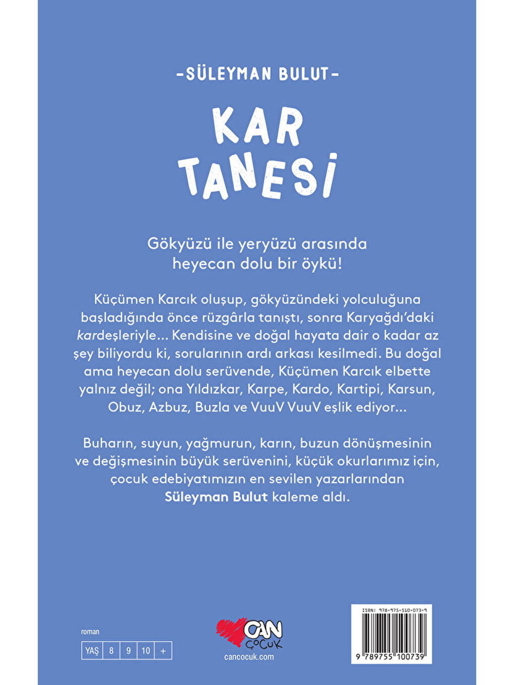 Kar Tanesi-2