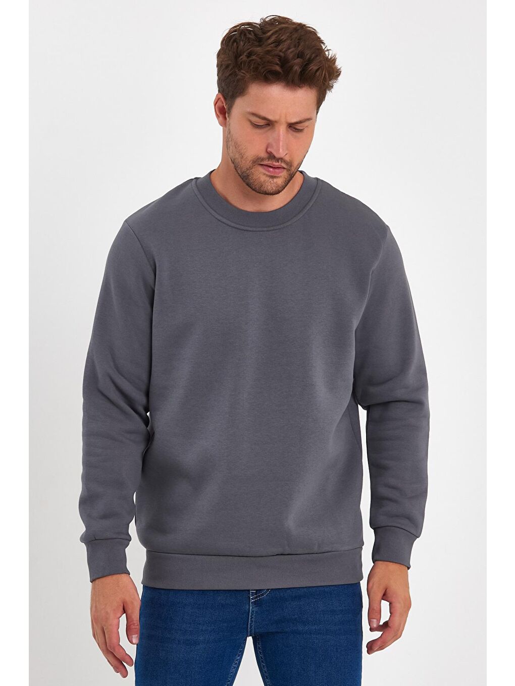 Antrasit 3 İplik Şardonlu Bisiklet Yaka Erkek Sweatshirt-2