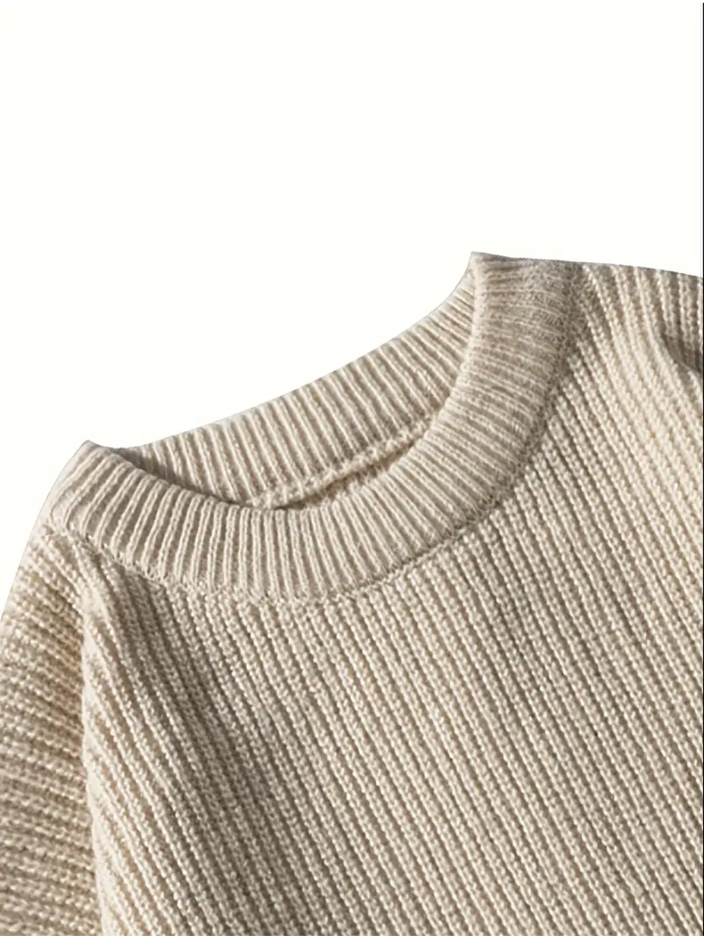 Bej Erkek Regular Fit Bisiklet Yaka Örgülü Triko-2