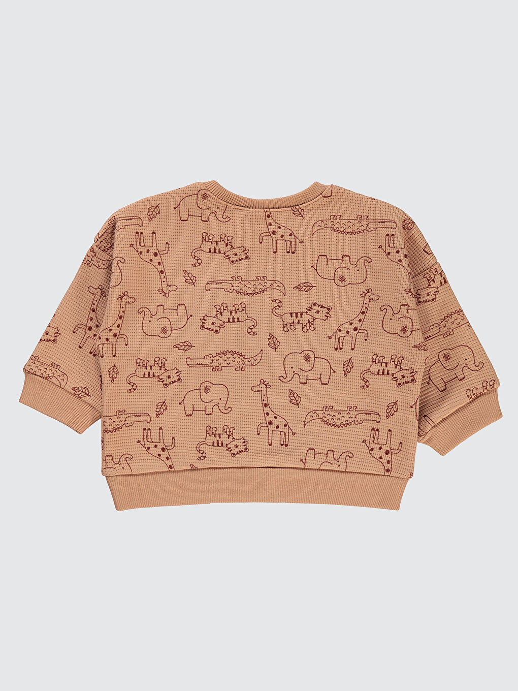 Kahverengi Baby Erkek Bebek Sweatshirt 6-18 Ay Sütlükahve-1