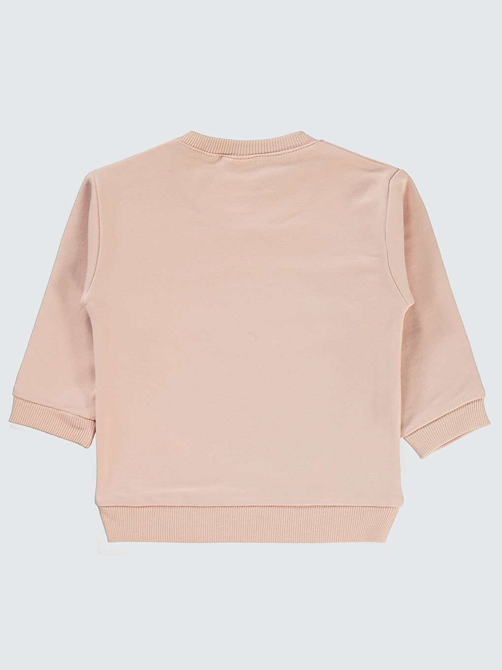 Pembe Baby Kız Bebek Sweatshirt 6-18 Ay Pudra-1