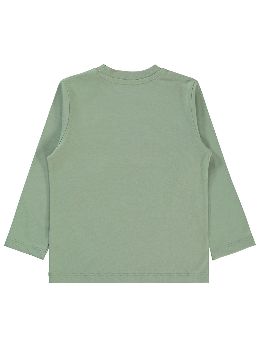 Boys Erkek Çocuk Sweatshirt 2-5 Yaş Soft Haki-1