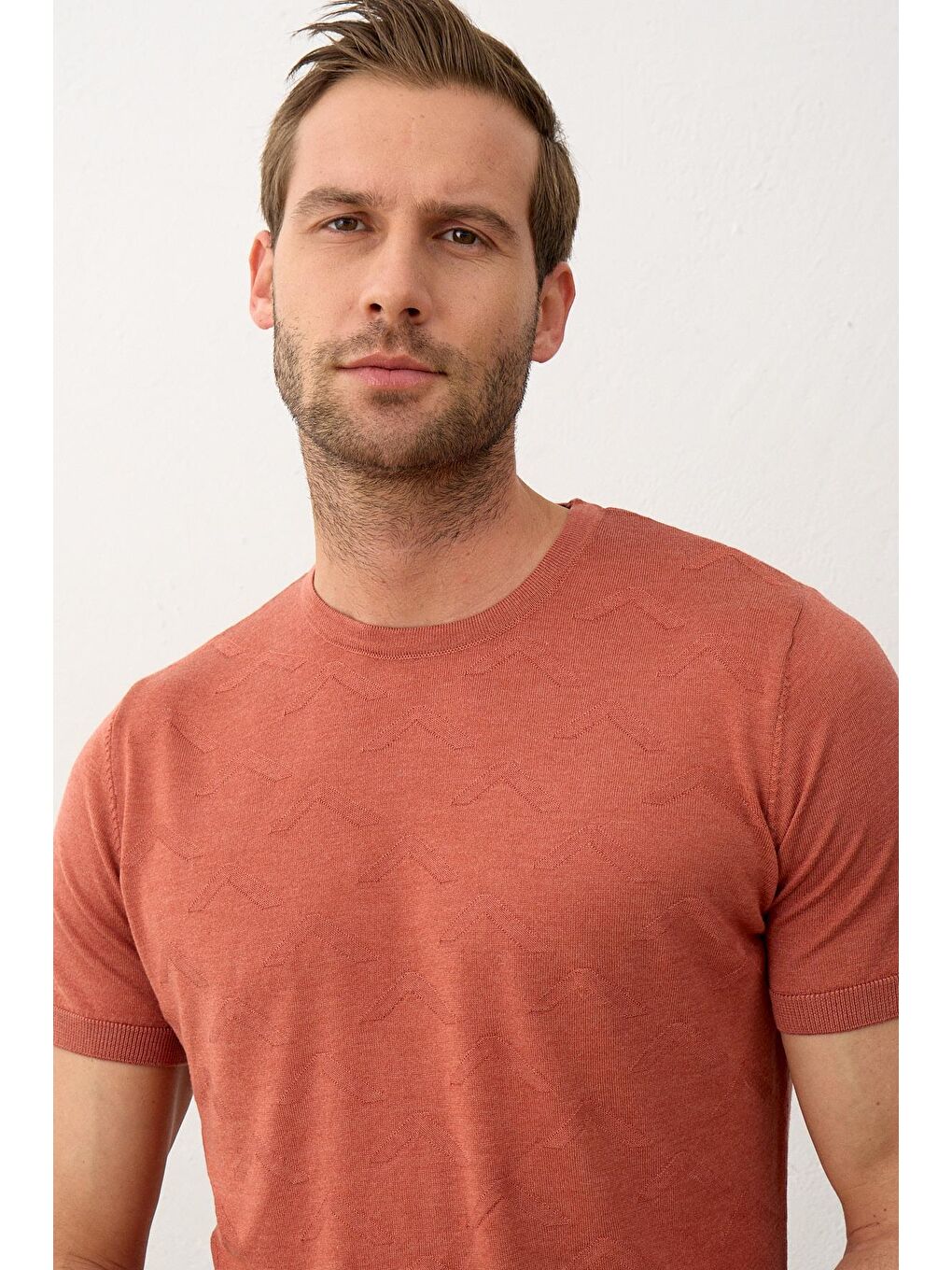 Kahverengi Erkek Bisiklet Yaka Slim-Fit Yazlık Triko Tişört Tarçın