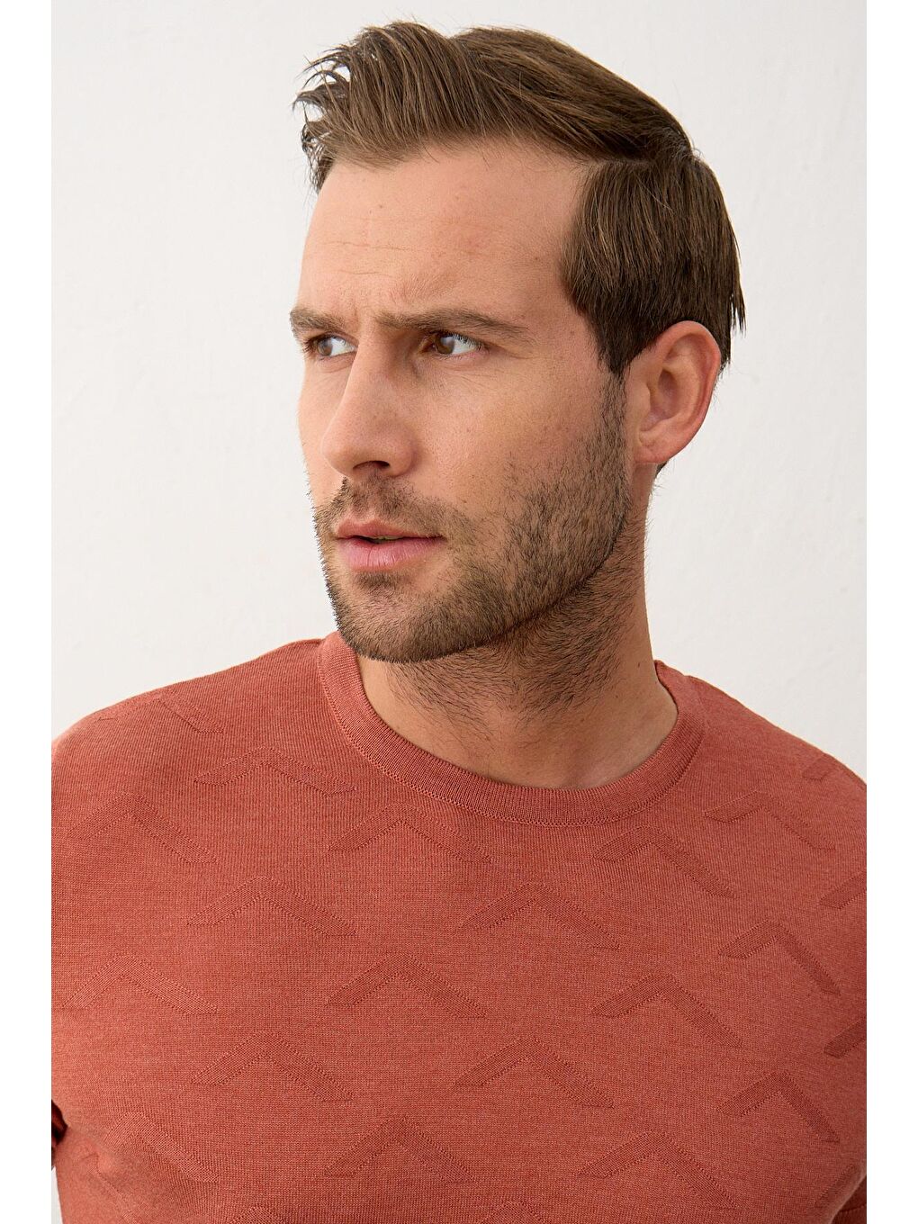 Kahverengi Erkek Bisiklet Yaka Slim-Fit Yazlık Triko Tişört Tarçın-2