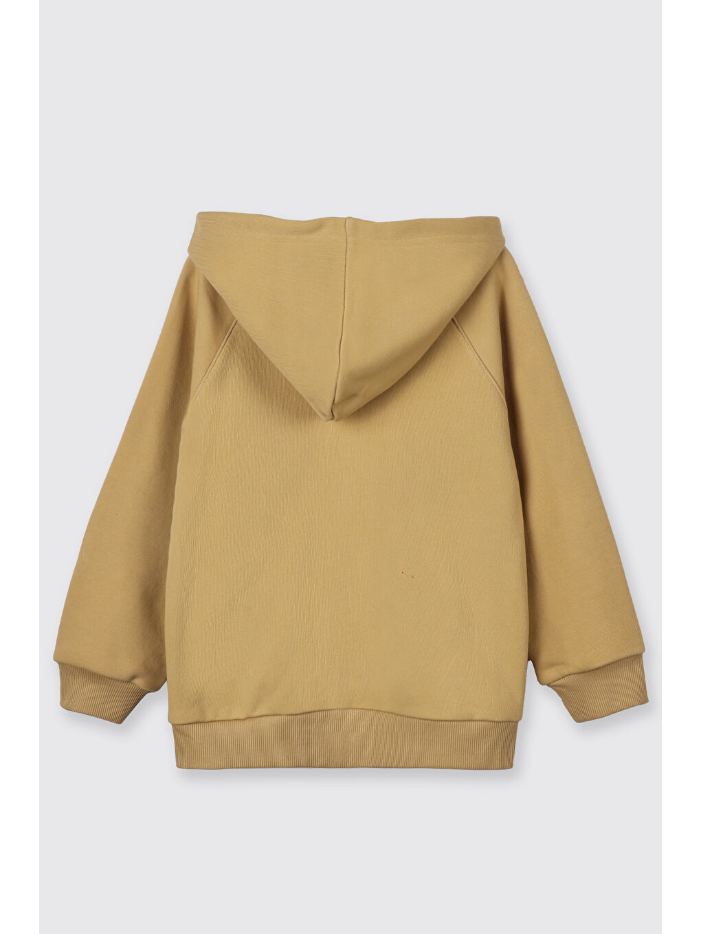 Sarı Erkek Çocuk Kapüşonlu Hardal Sweatshirt-3