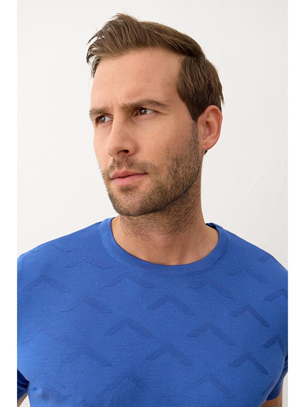 Mavi Erkek Bisiklet Yaka Slim-Fit Yazlık Triko TişörtSaks-5