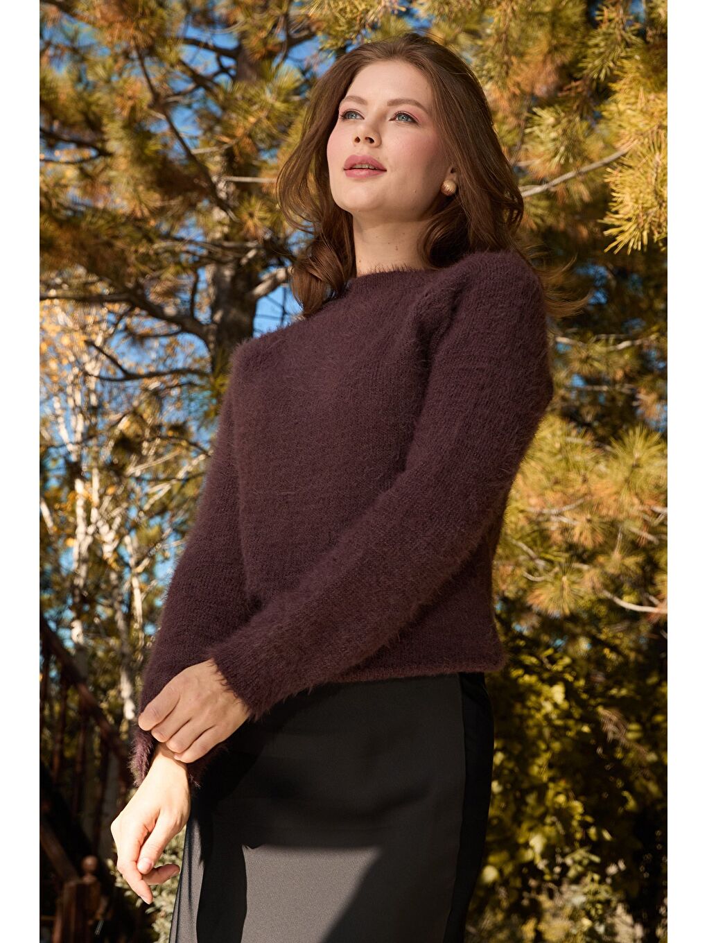 Kahverengi Dik Yaka Sakallı Kazak-1