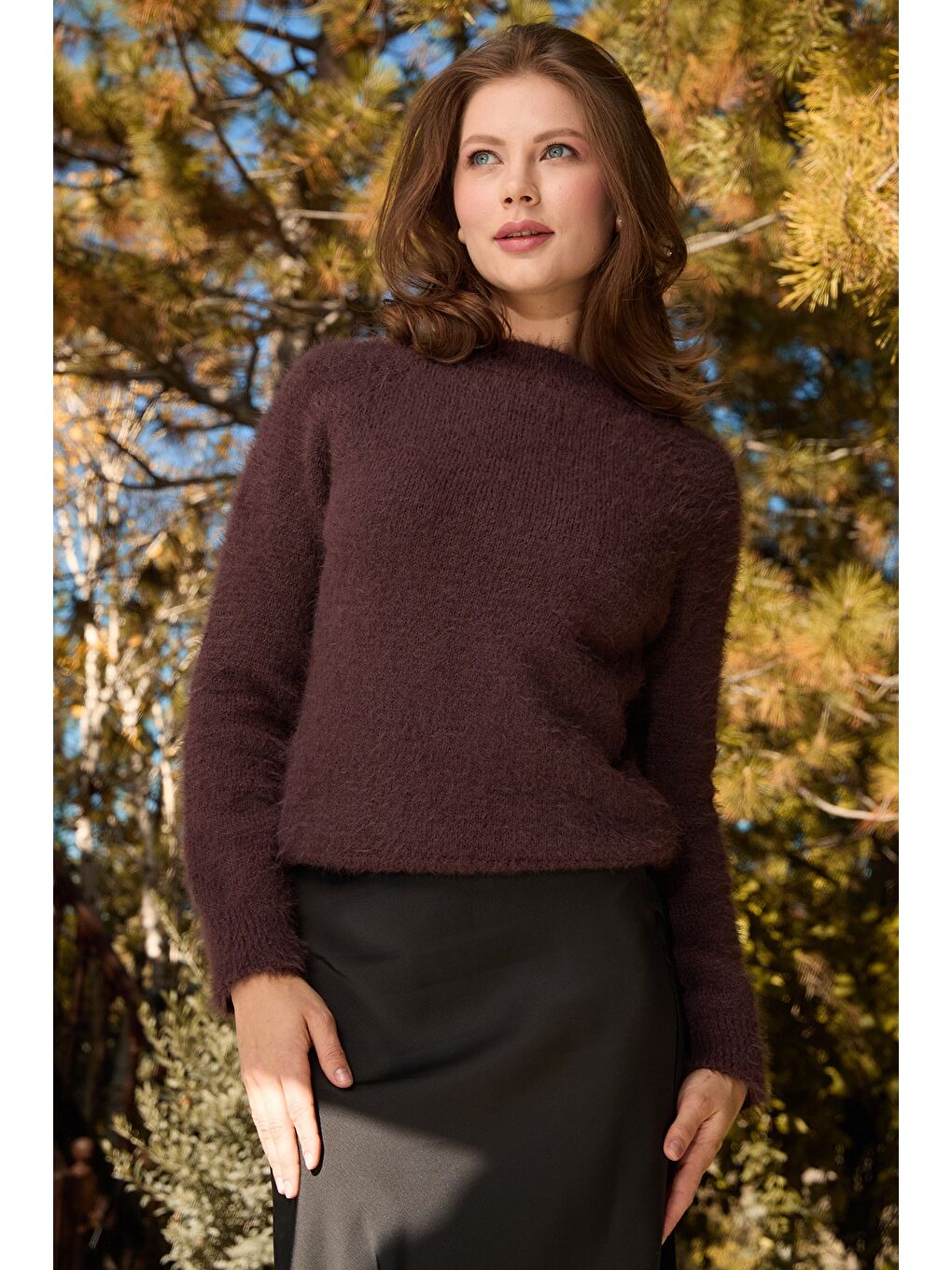 Kahverengi Dik Yaka Sakallı Kazak-2