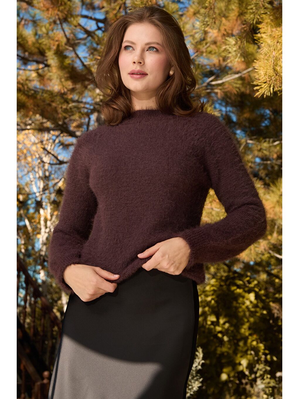 Kahverengi Dik Yaka Sakallı Kazak-4