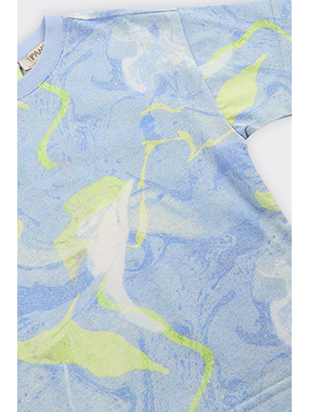 Mavi Erkek Çocuk Baskılı Tişört-2