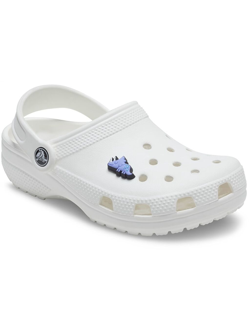 Crocs Karışık Purple Dino Unisex Jibbitz