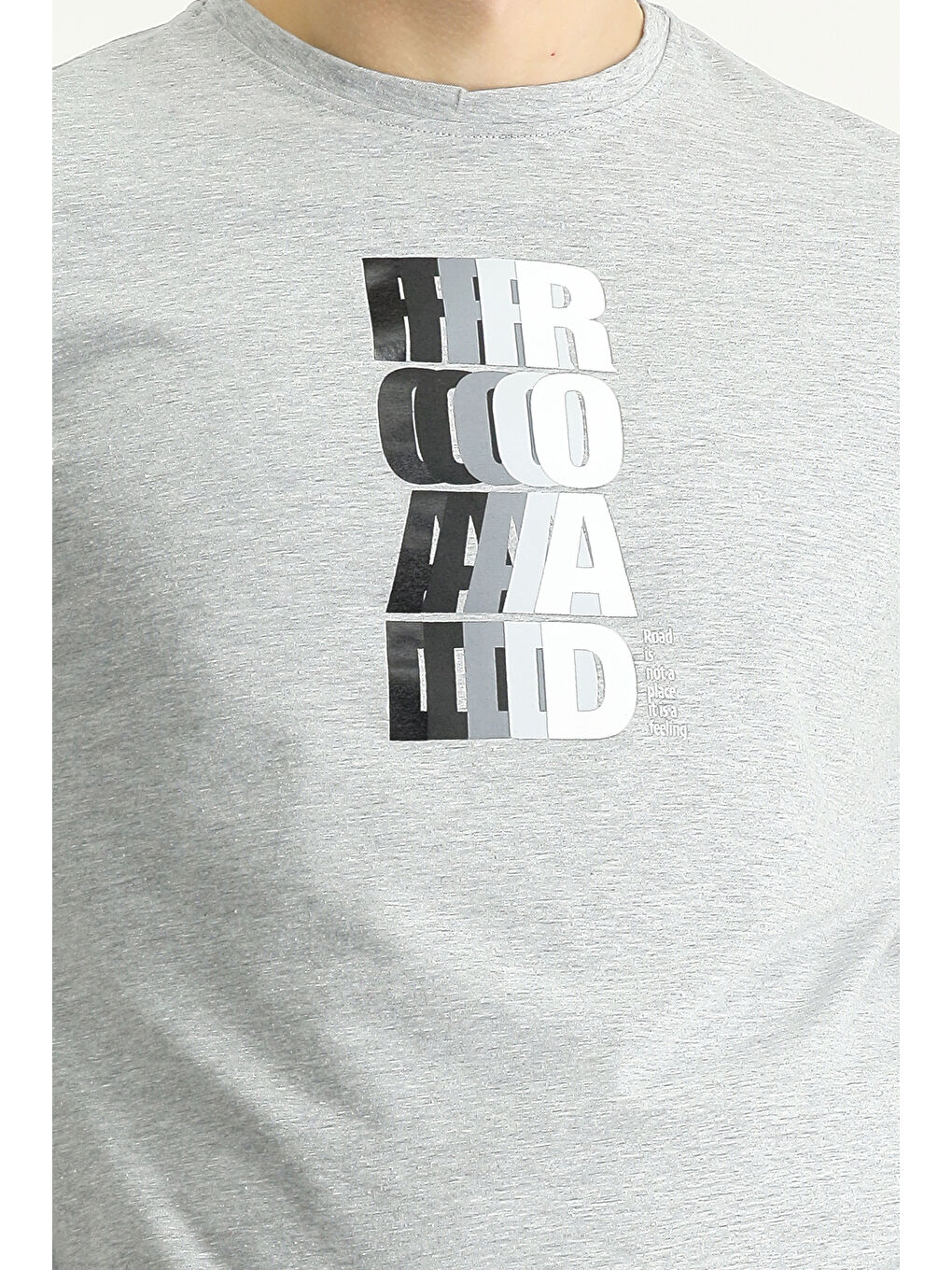 Gri Bisiklet Yaka Regular Fit Baskılı Pamuklu Tişört-4