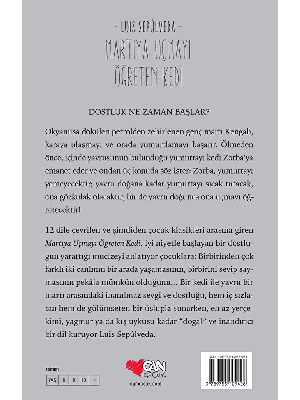 Martıya Uçmayı Öğreten Kedi-2