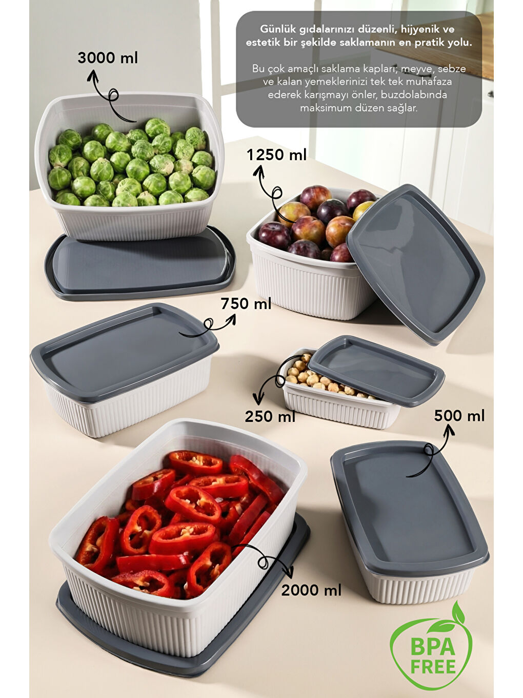 Gri 20'li Çizgili Dikdörtgen Gıda Saklama Kabı Seti-1