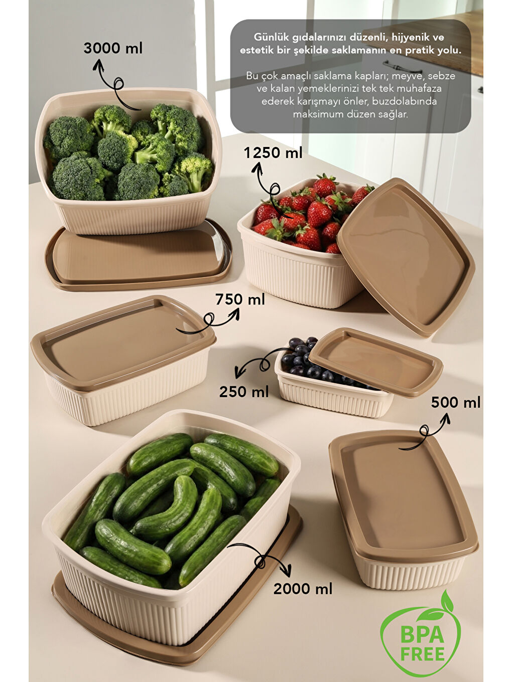 Bej 6'lı Çizgili Dikdörtgen Gıda Saklama Kabı Seti-1