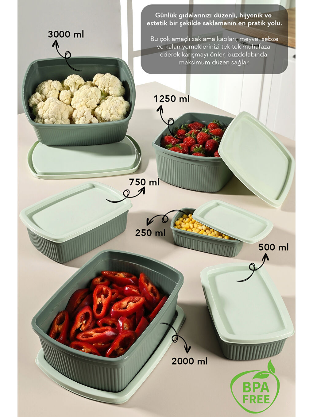 Yeşil 24'lü Çizgili Dikdörtgen Gıda Saklama Kabı Seti-1