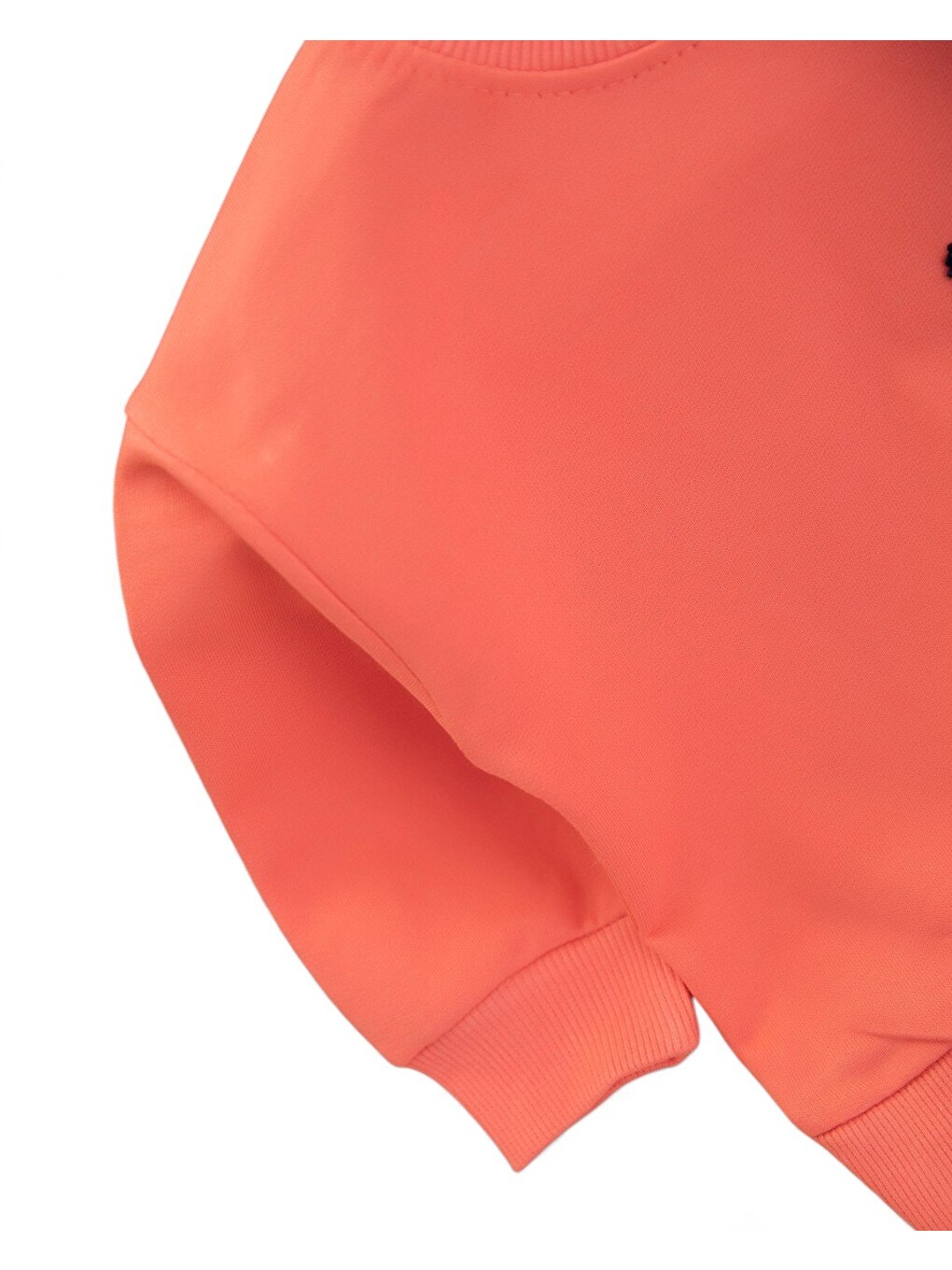 Karışık Erkek Bebek Mevsimlik Martı Nakışlı Sweatshirt, Çizgili Pantalonlu 2'li Alt Üst Takım-3