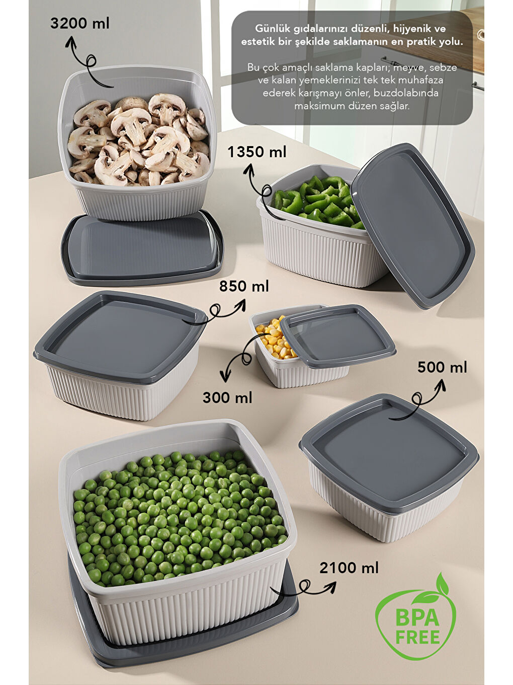 Gri 6'lı Çizgili Kare Erzak Gıda Saklama Kabı Seti-1