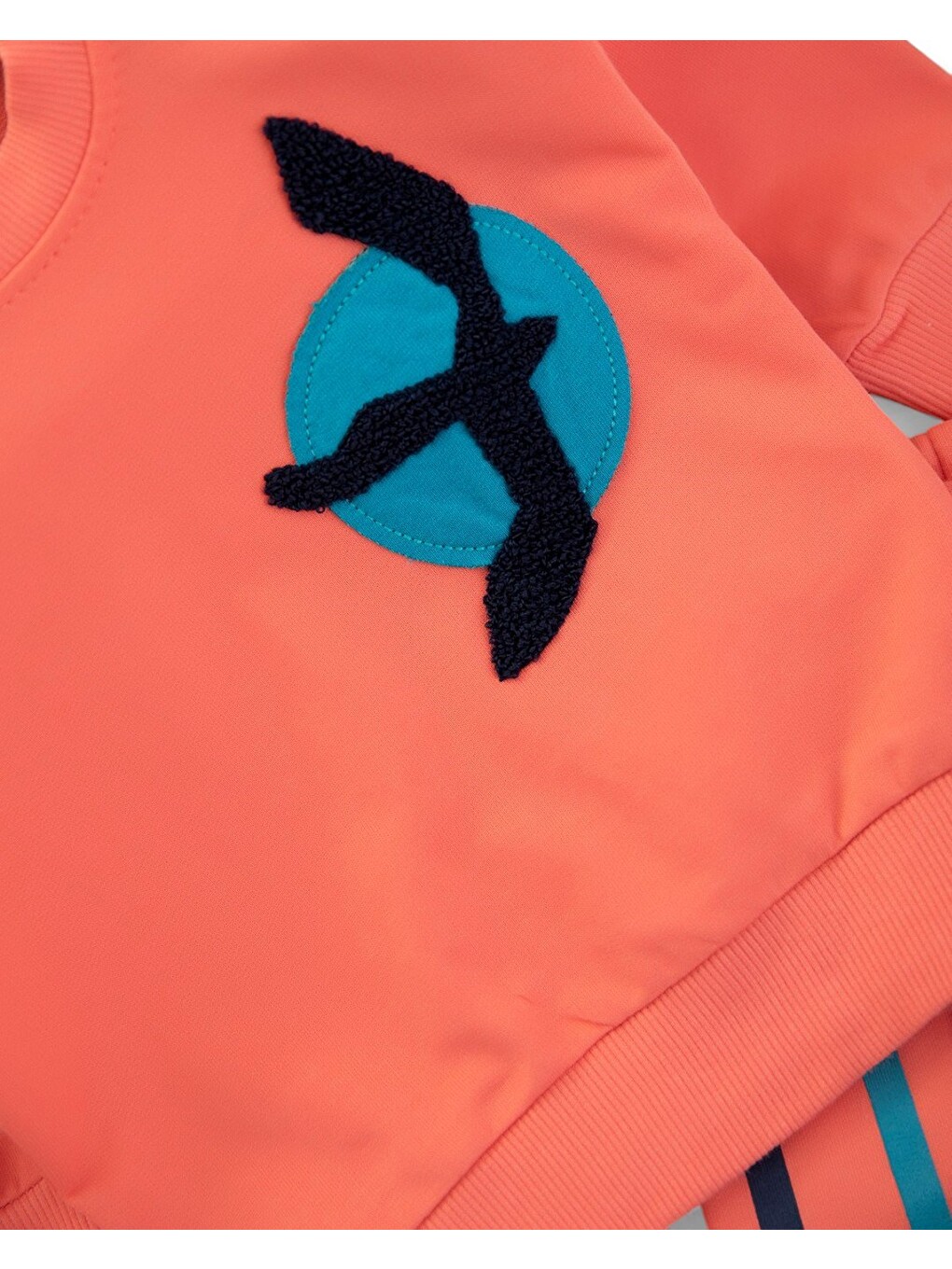 Karışık Erkek Bebek Mevsimlik Martı Nakışlı Sweatshirt, Çizgili Pantalonlu 2'li Alt Üst Takım-4