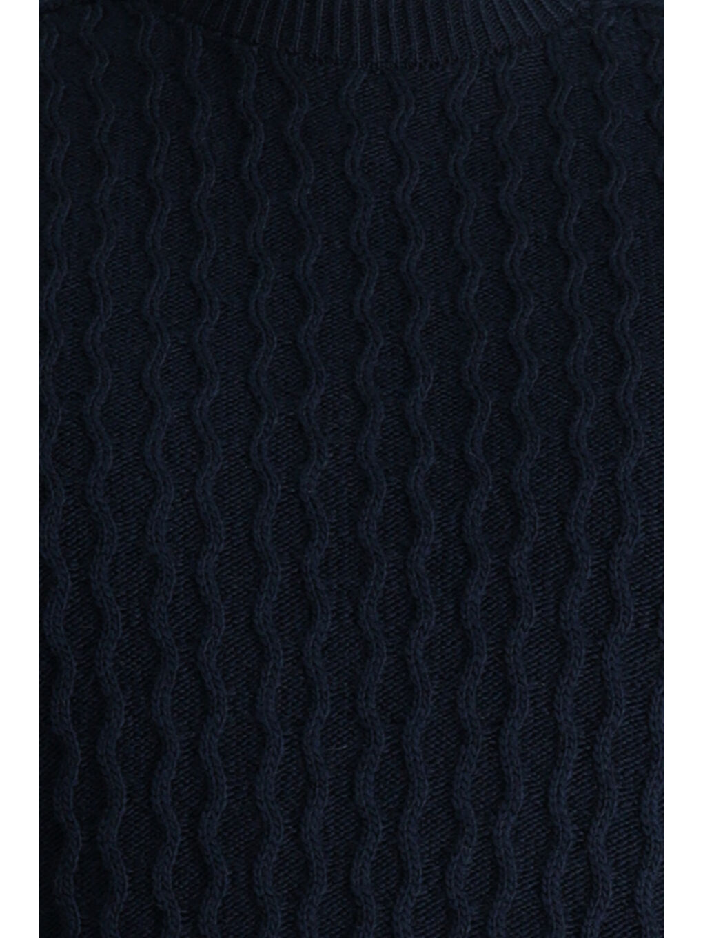 Lacivert Bisiklet Yaka Regular Fit Dikişsiz Desenli Triko Büyük Beden Kazak-4