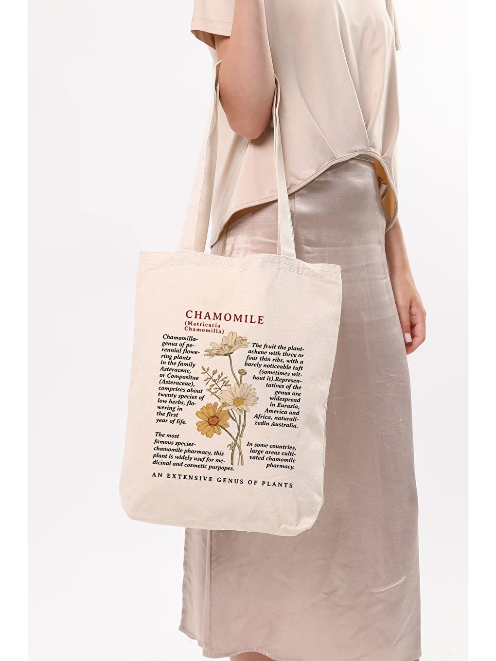 Ekru Siyah Kulplu Krem Kanvas Chamomile Baskılı Bez Çanta-4