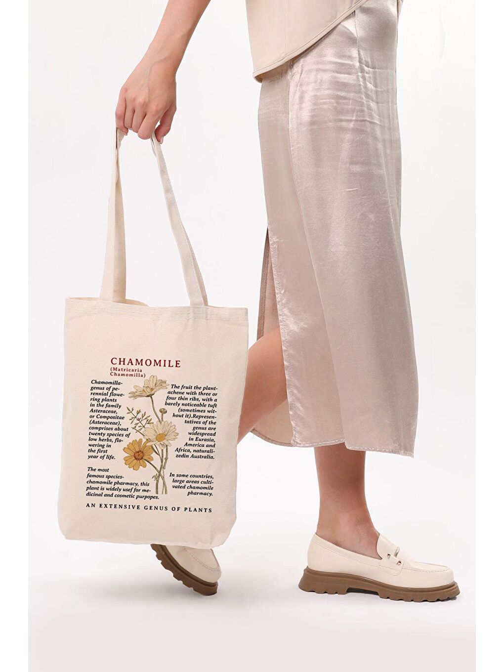 Ekru Siyah Kulplu Krem Kanvas Chamomile Baskılı Bez Çanta-5