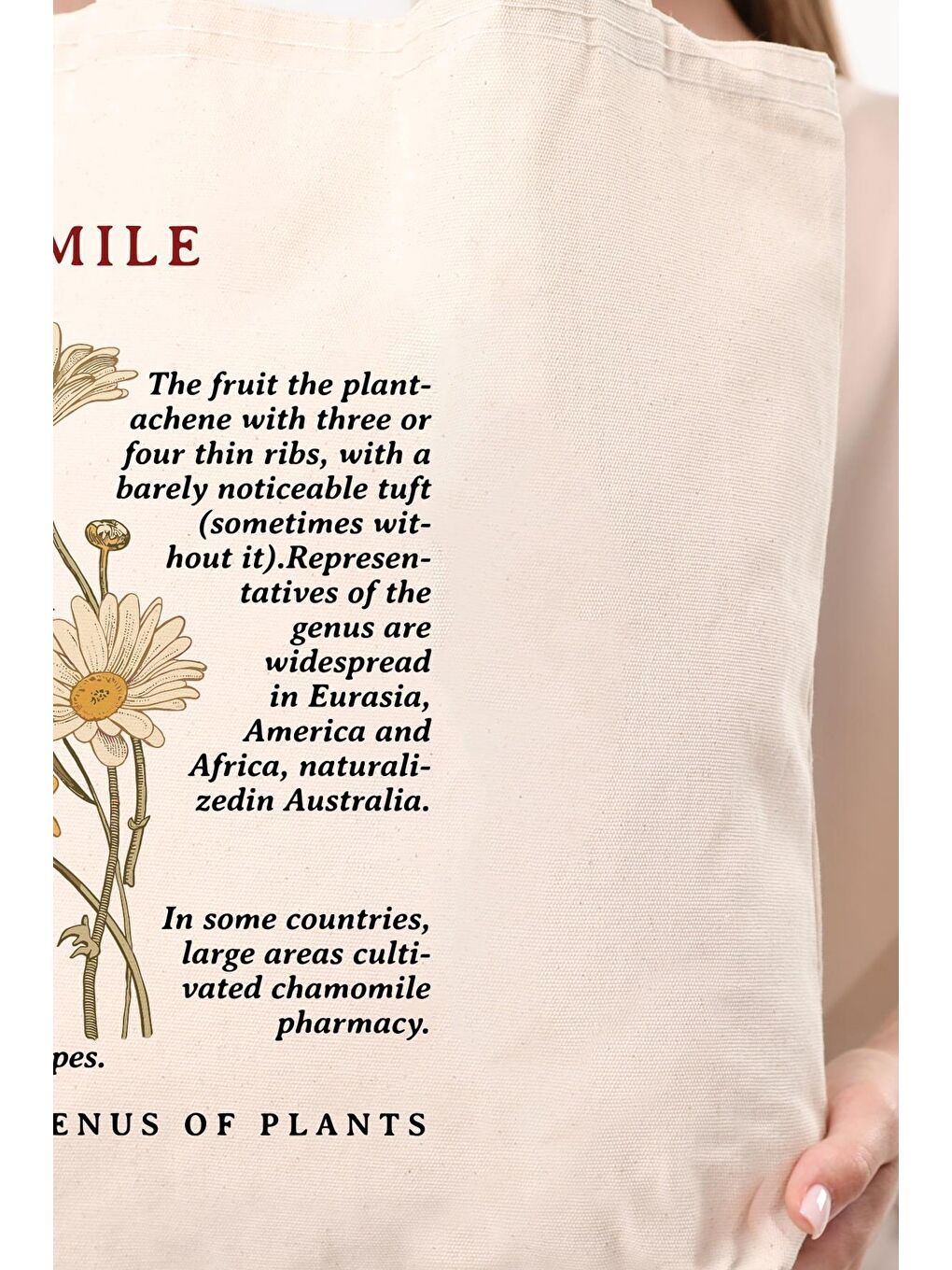 Ekru Siyah Kulplu Krem Kanvas Chamomile Baskılı Bez Çanta-6