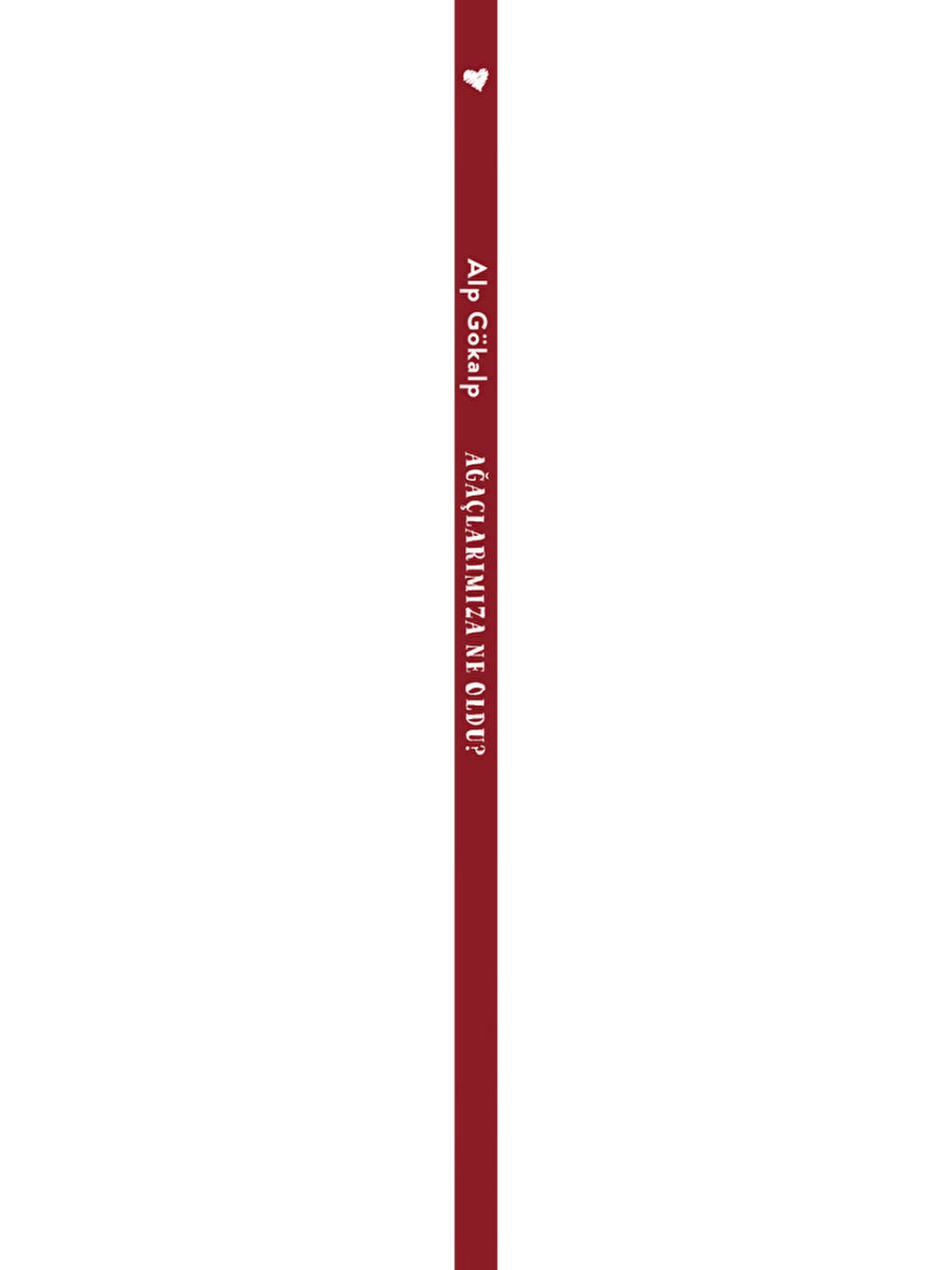 Bulut ve Selis Haykırdı: Ağaçlarımıza Ne Oldu?-1