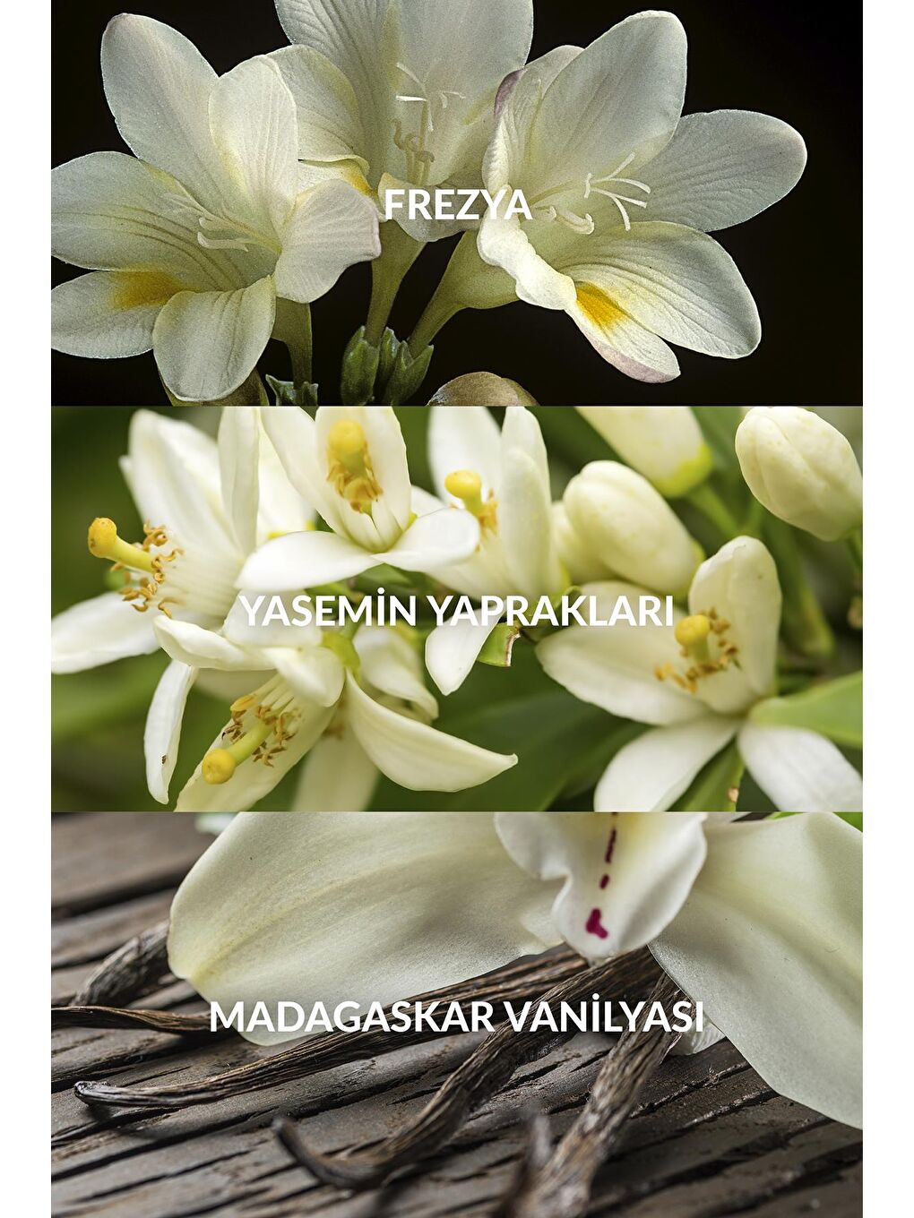 Far Away Kadın Parfüm Edp 50 Ml. ve 30 Ml. İkili Paket-3