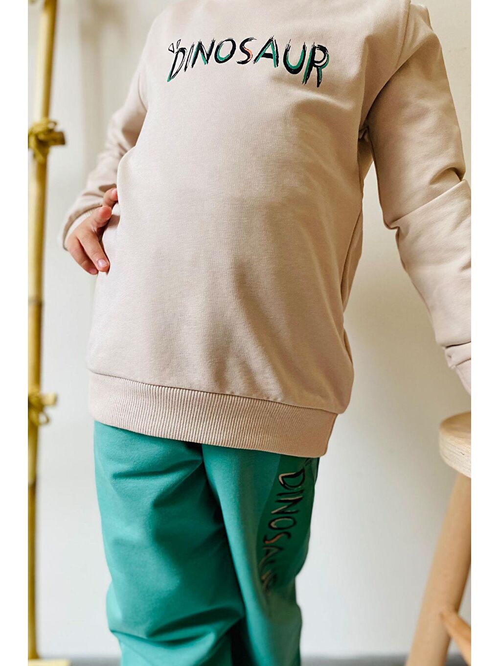 Erkek Çocuk Eşofman Takım Sırt Kısmı Eğlenceli Dinozor Baskılı Bej (3 Yaş)-4