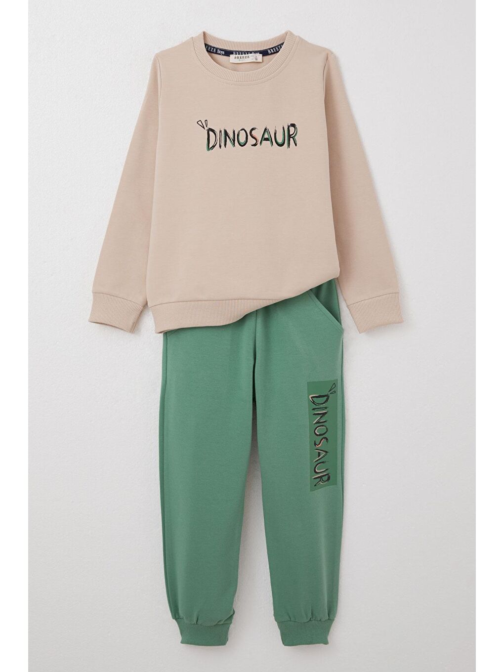 Erkek Çocuk Eşofman Takım Sırt Kısmı Eğlenceli Dinozor Baskılı Bej (3 Yaş)-6