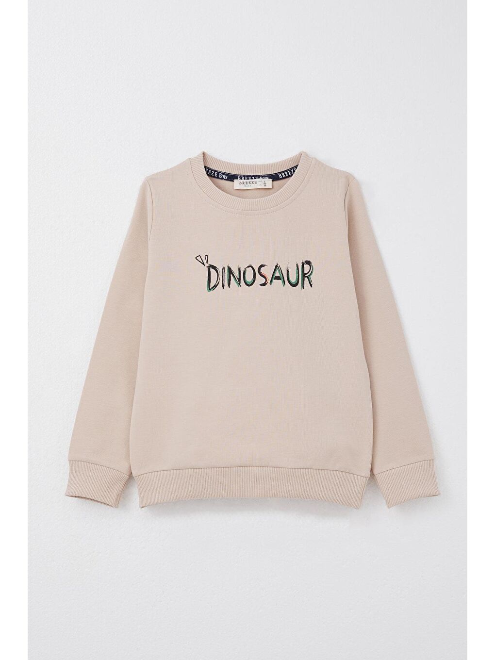 Erkek Çocuk Eşofman Takım Sırt Kısmı Eğlenceli Dinozor Baskılı Bej (3 Yaş)-7