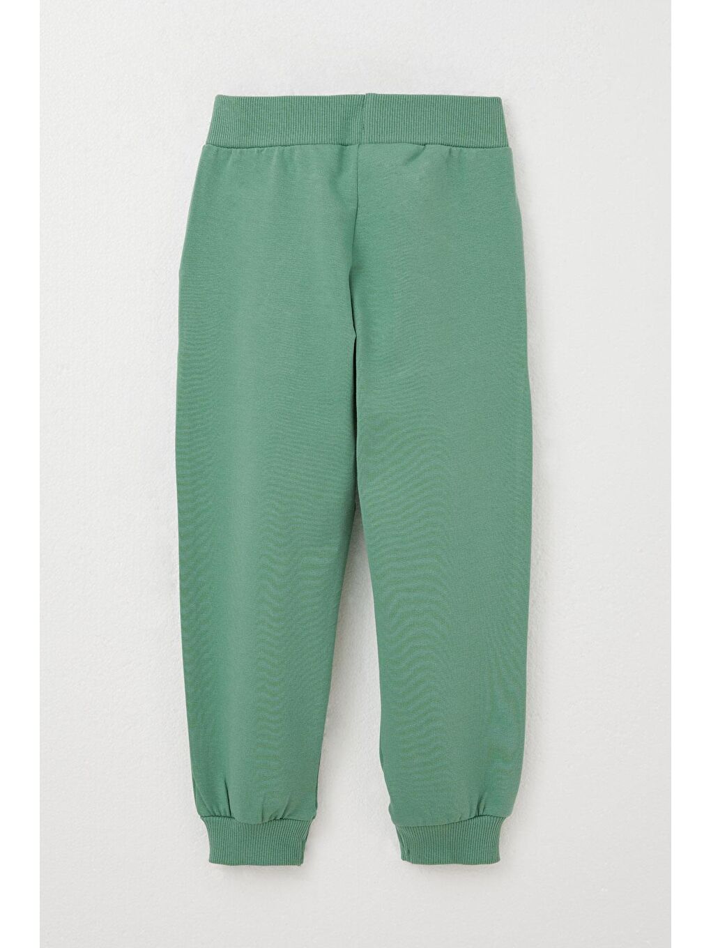 Erkek Çocuk Eşofman Takım Sırt Kısmı Eğlenceli Dinozor Baskılı Bej (3 Yaş)-10