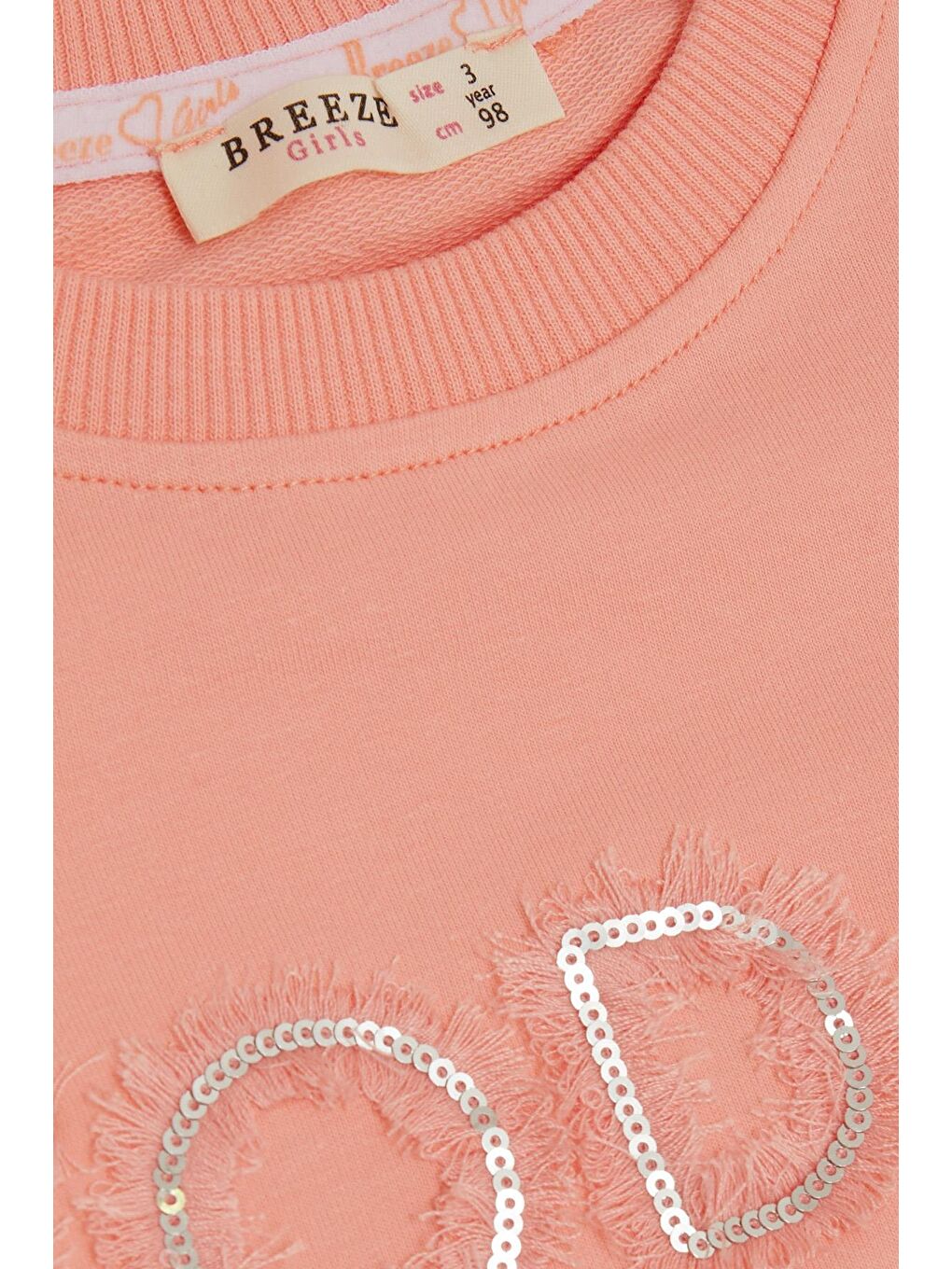 Pembe Kız Çocuk Sweatshirt Pullu Simli Yazı Baskılı Somon (3-6 Yaş)-2