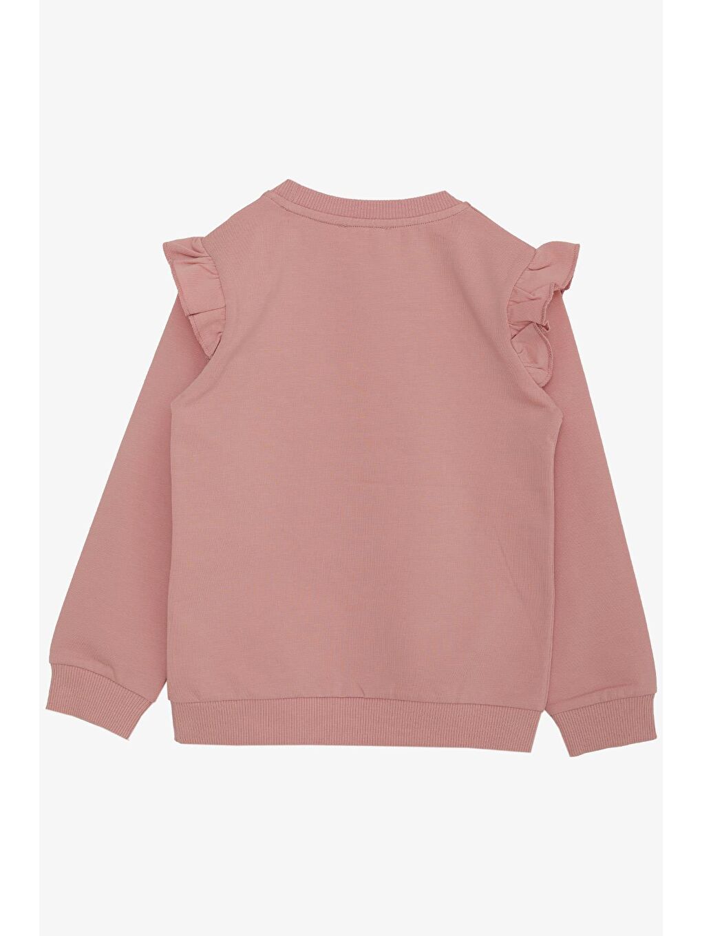 Pembe Kız Çocuk Sweatshirt Pullu Simli Yazı Baskılı Gülkurusu (3 Yaş)-1