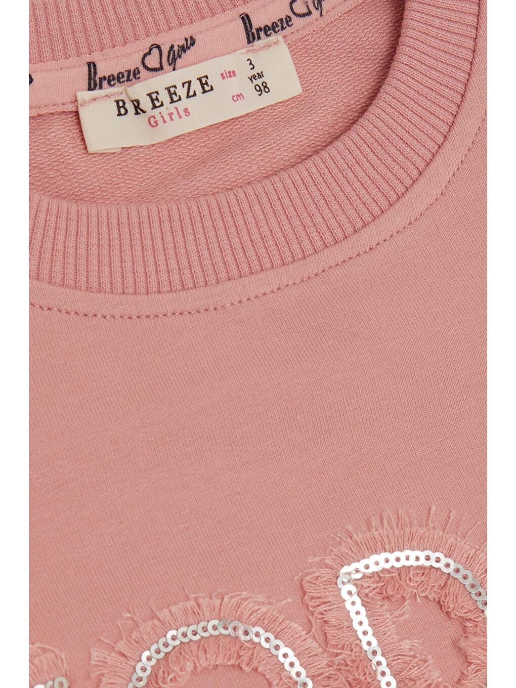 Pembe Kız Çocuk Sweatshirt Pullu Simli Yazı Baskılı Gülkurusu (3 Yaş)-2