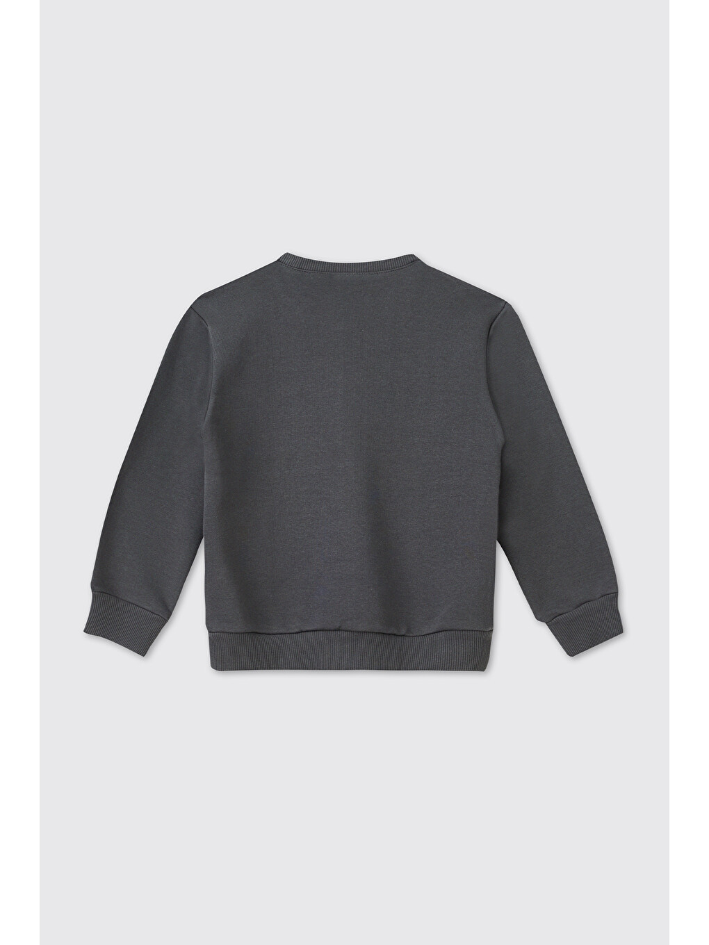 Erkek Bebek Antrasit Sweatshirt-1