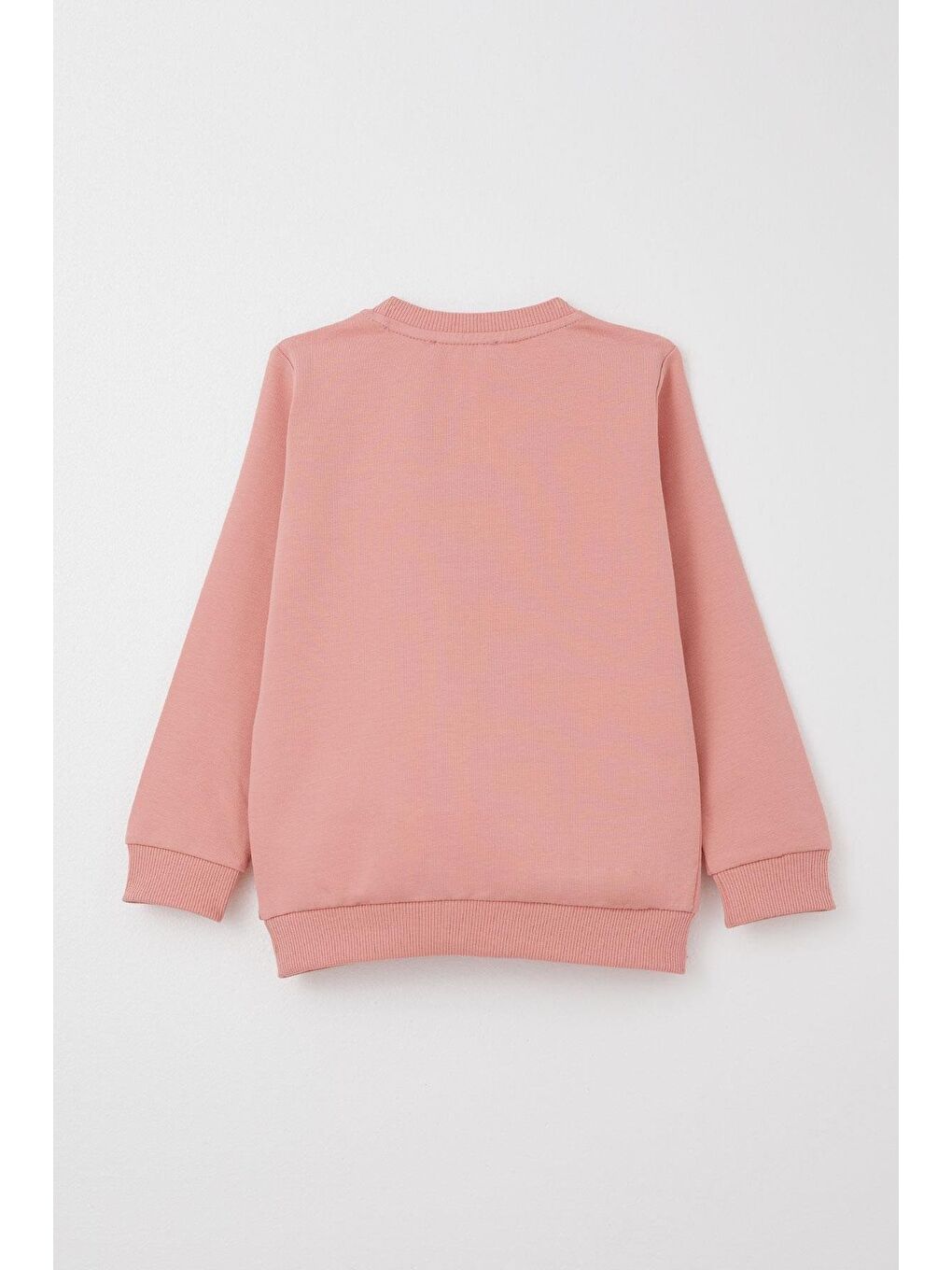 Pembe Kız Çocuk Taytlı Takım Sevimli Kız Baskılı Çiçekli Gülkurusu (2-3 Yaş)-8