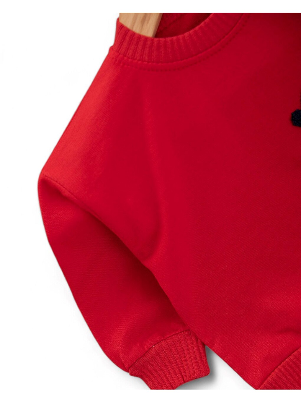 Kırmızı Erkek Bebek Mevsimlik Martı Nakışlı Sweatshirt, Çizgili Pantalonlu 2'li Alt Üst Takım-3