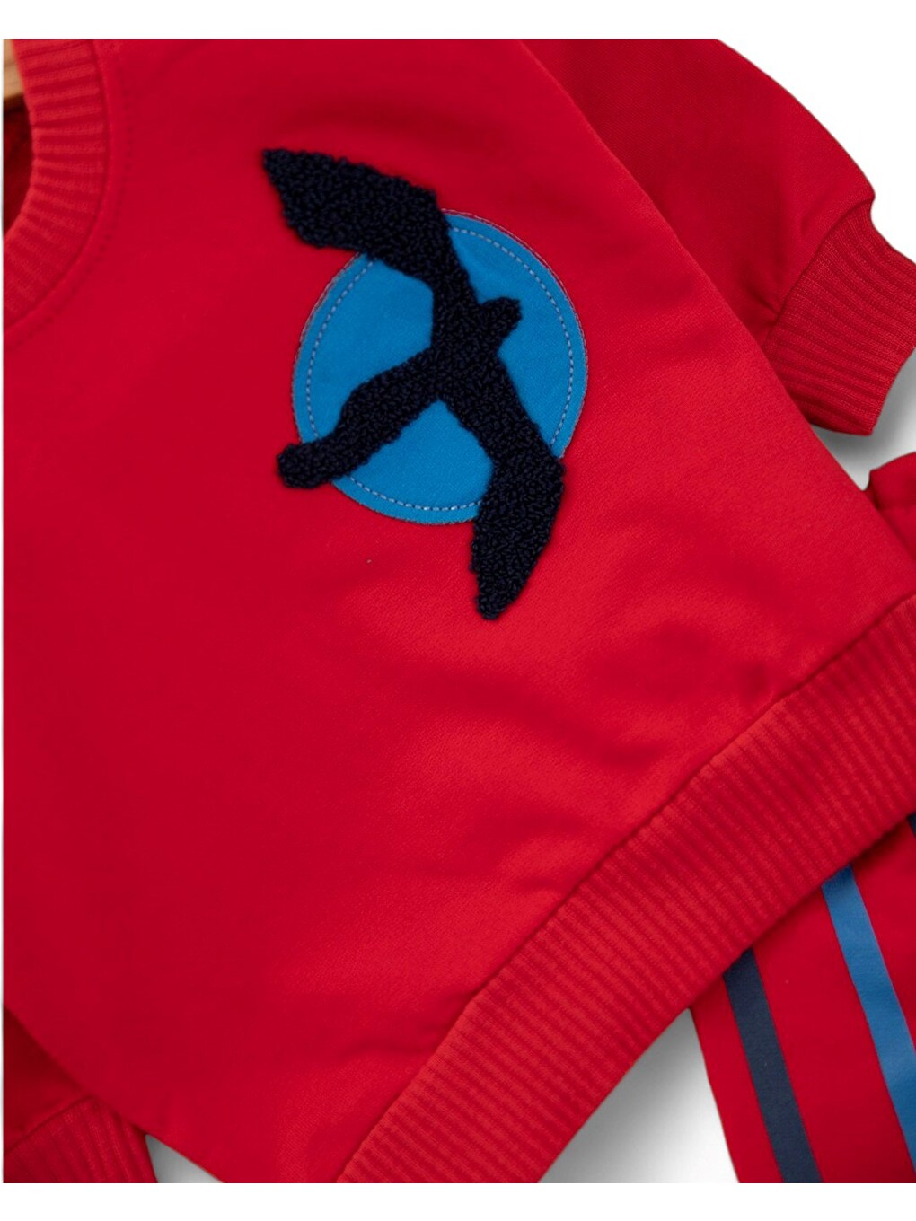 Kırmızı Erkek Bebek Mevsimlik Martı Nakışlı Sweatshirt, Çizgili Pantalonlu 2'li Alt Üst Takım-4