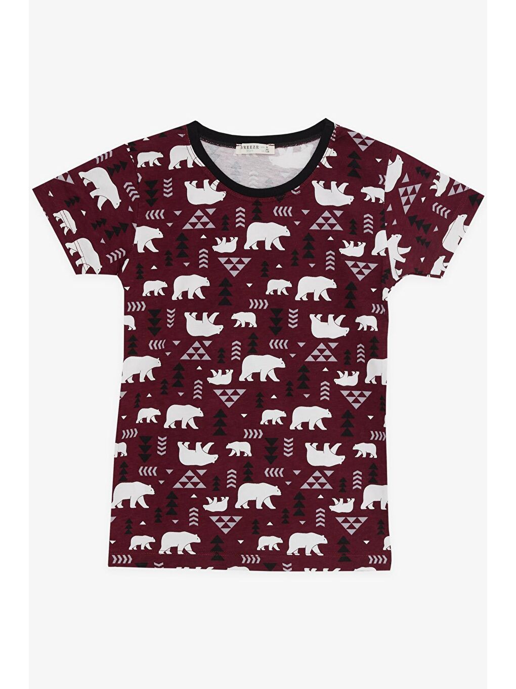 Bordo Erkek Çocuk Şortlu Pijama Takımı Sevimli Kutup Ayıcığı Desenli Vişne Çürüğü (4-8 Yaş)-2