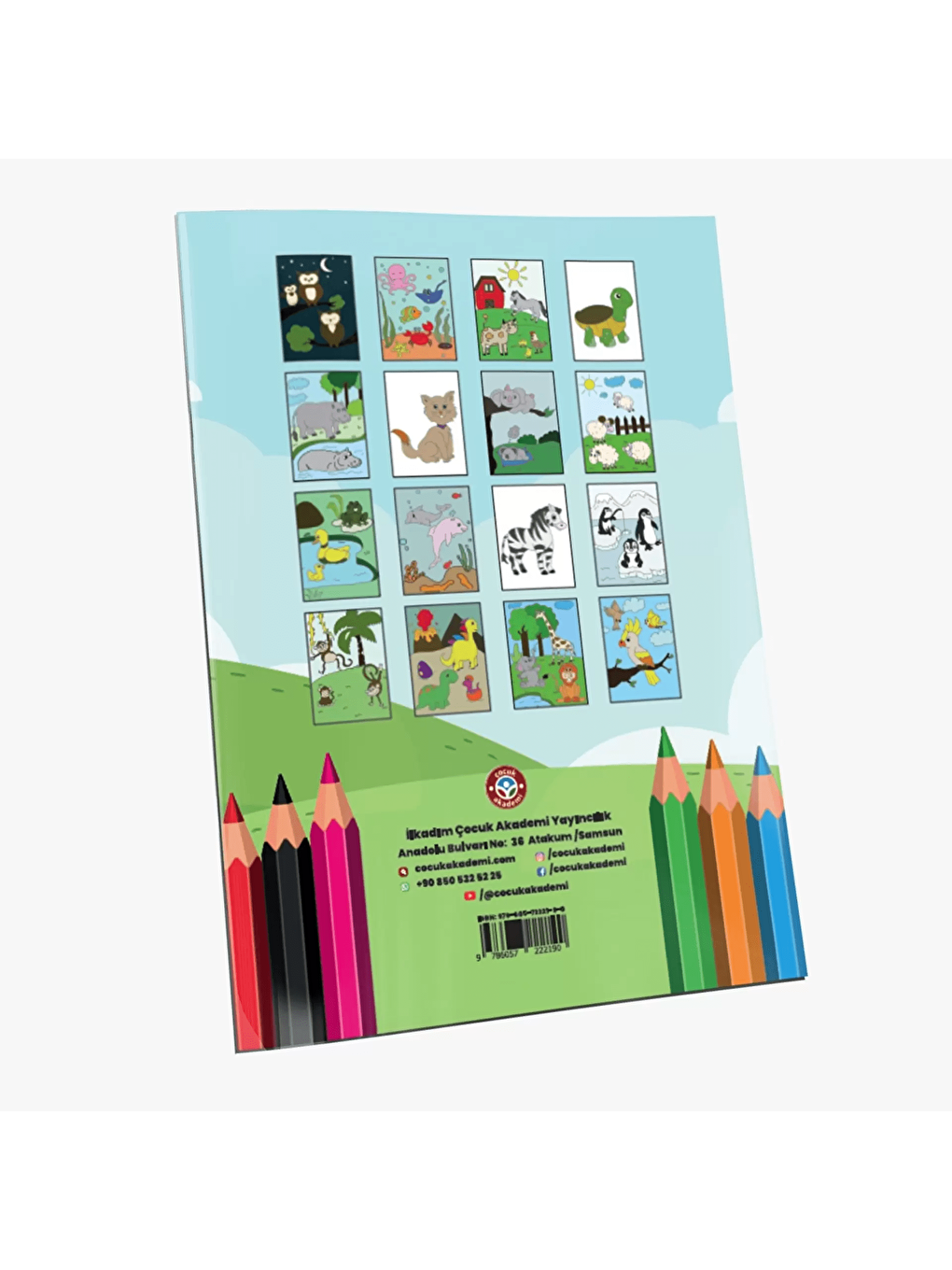 Boyama Kitabım - Hayvanlar-2
