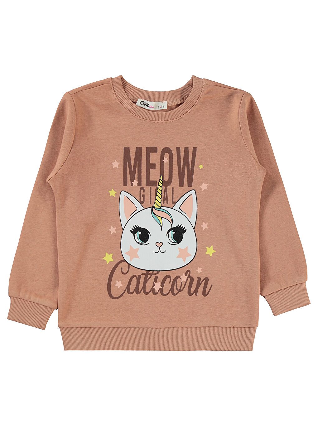 Kahverengi Girls Kız Çocuk Sweatshirt 2-5 Yaş İtalyan Kili